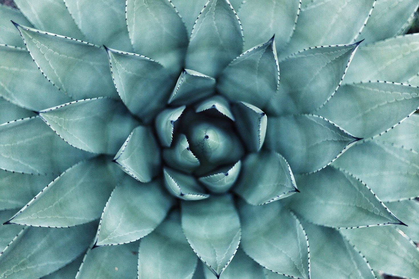 Why Individualized Programs Are Key to Wellness