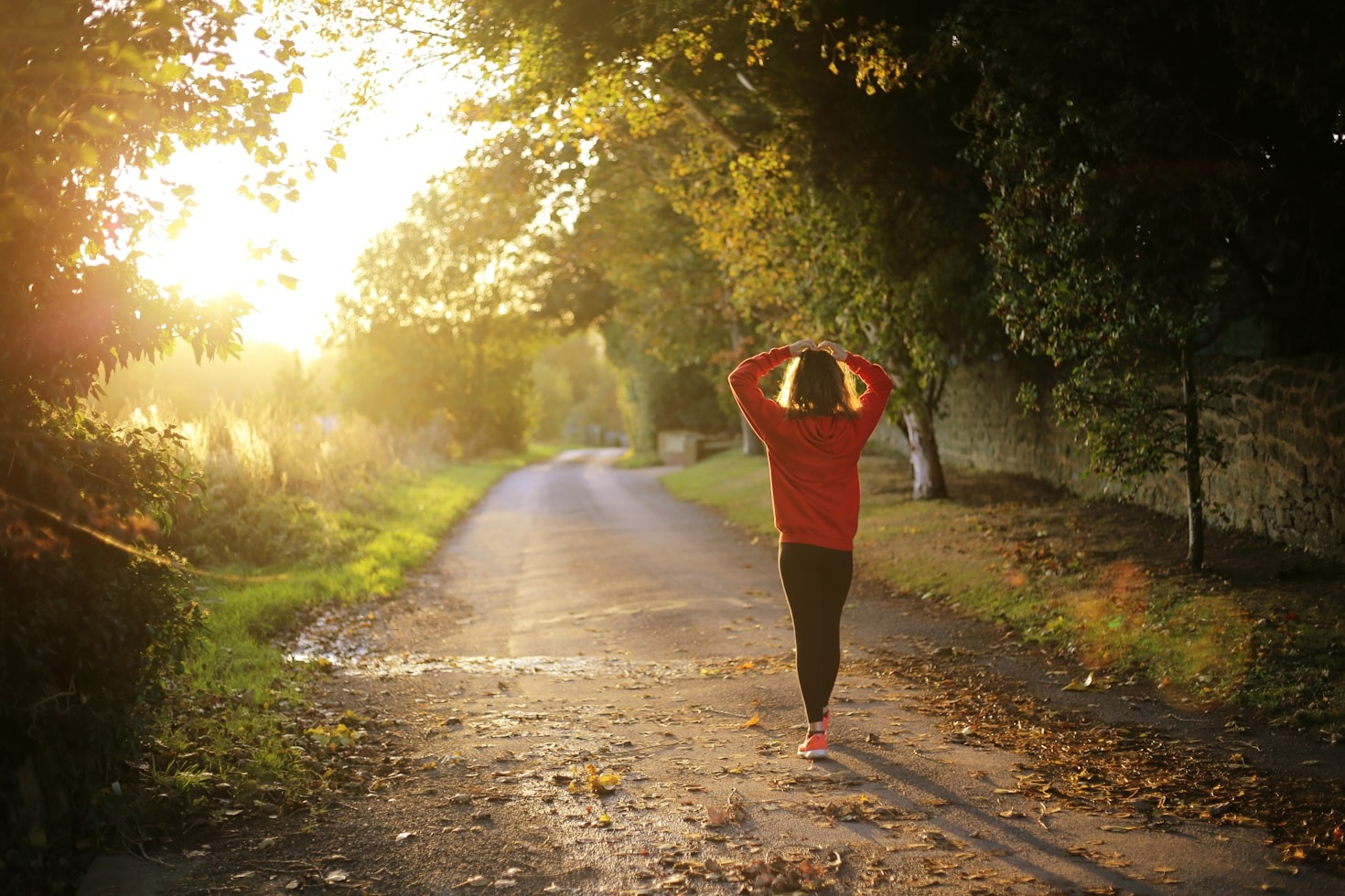 Breaking Down the Essentials of Vibrant Health